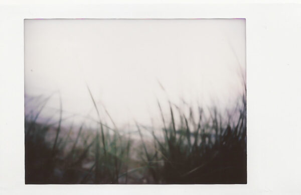 analog lite oskarpt foto föreställande gräs vid en strand